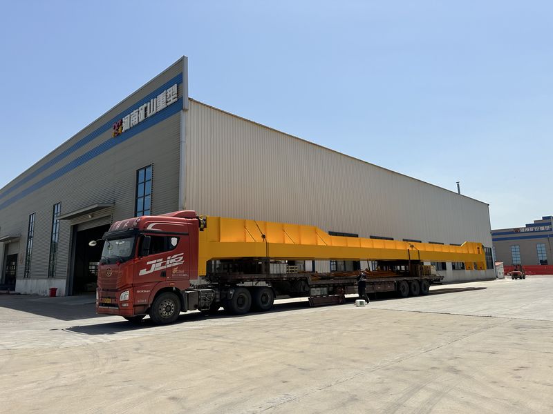 龍佰集團選用我公司QD25/5t，跨度28.5m通用橋式起重機